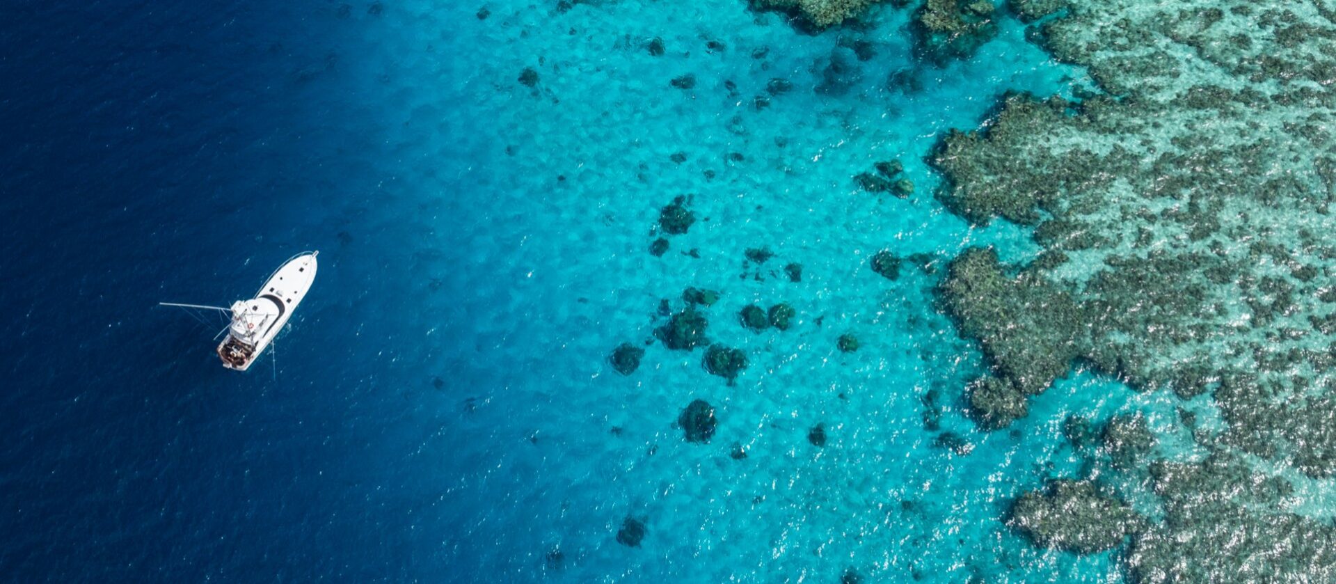 Aerial view of a white boat floating on deep blue water near a vibrant coral reef with turquoise and light blue hues.