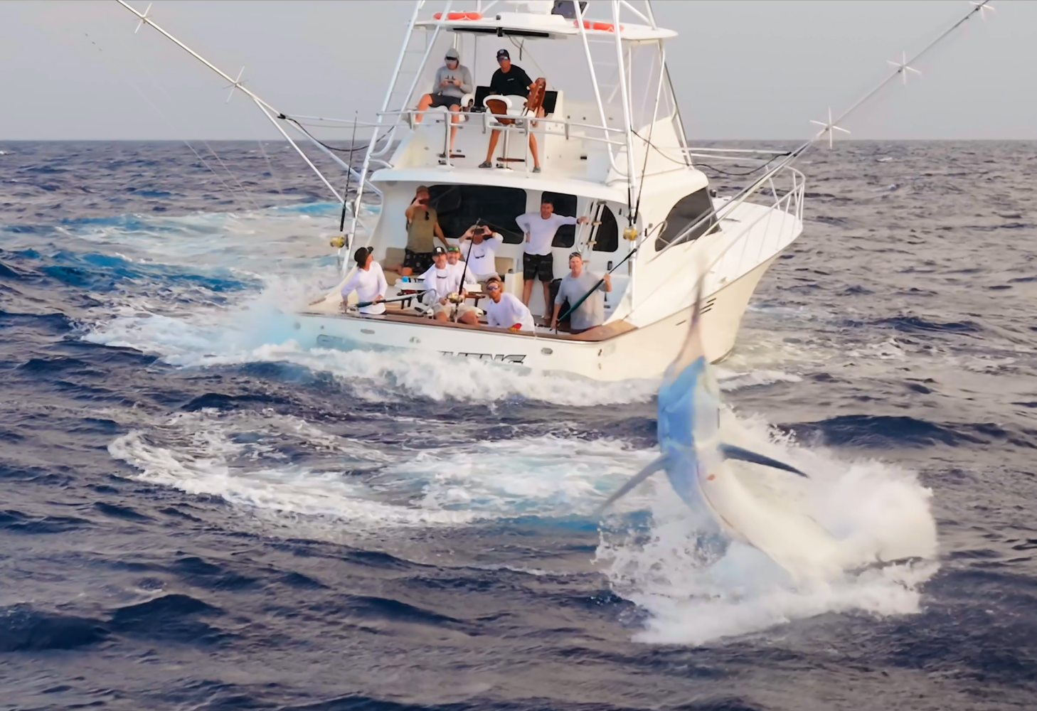 A large white fishing boat with several people onboard is on the ocean, while a marlin leaps out of the water nearby, creating a big splash.
