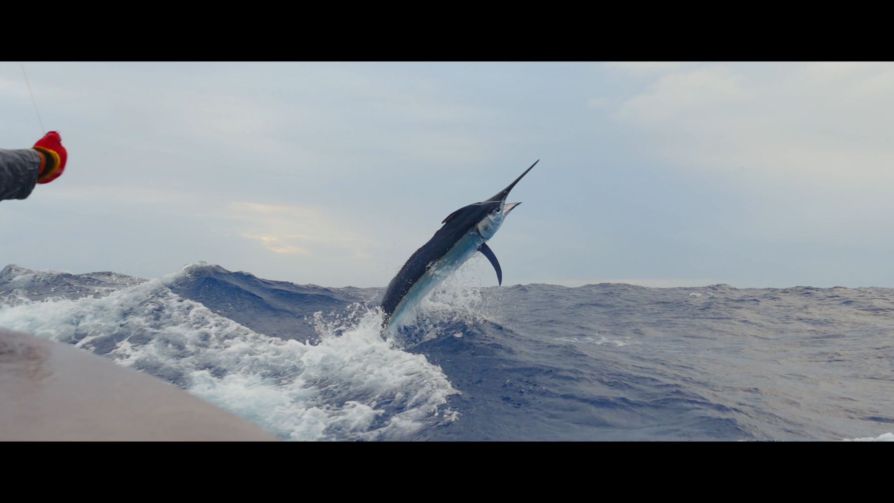 A large marlin leaps out of the ocean next to a fishing boat, creating a splash. A person wearing a red glove holds a fishing line on the left side of the image. The sky is mostly cloudy.