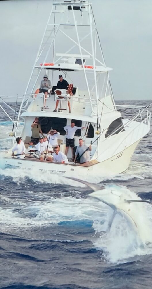A group of people on a corporate Christmas party in Sydney watch from a sport fishing boat as a large marlin breaches the water’s surface.