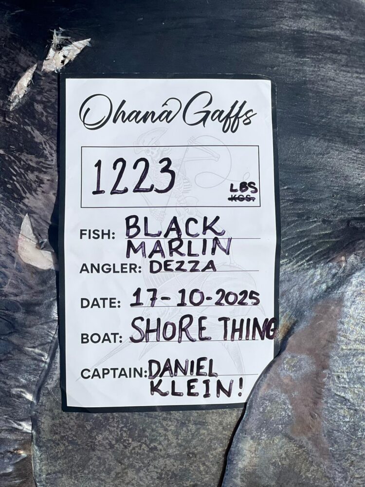 A 1223-pound black marlin catch record for angler Dezza, caught on the boat Shore Thing with Captain Daniel Klein on 17-10-2025 during a corporate Christmas party in Sydney.